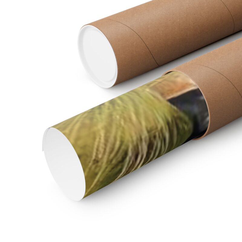 Matte Vertical Posters of Three Horses in a Grassy Field: Brown, Gray, and Chestnut - Image 116