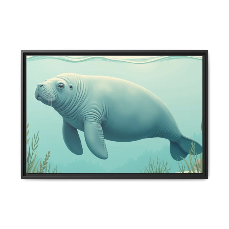 Gentle Giant Florida canvas prints featuring a peaceful manatee swimming through the water. - Image 25
