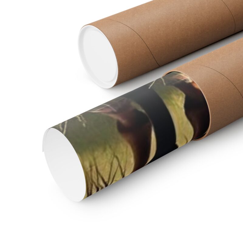 Matte Vertical Posters of Three Horses in a Grassy Field: Brown, Gray, and Chestnut - Image 92