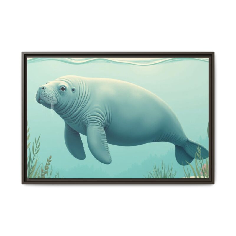 Gentle Giant Florida canvas prints featuring a peaceful manatee swimming through the water. - Image 81
