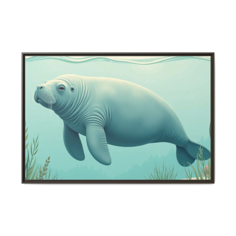 Gentle Giant Florida canvas prints featuring a peaceful manatee swimming through the water. - Image 113