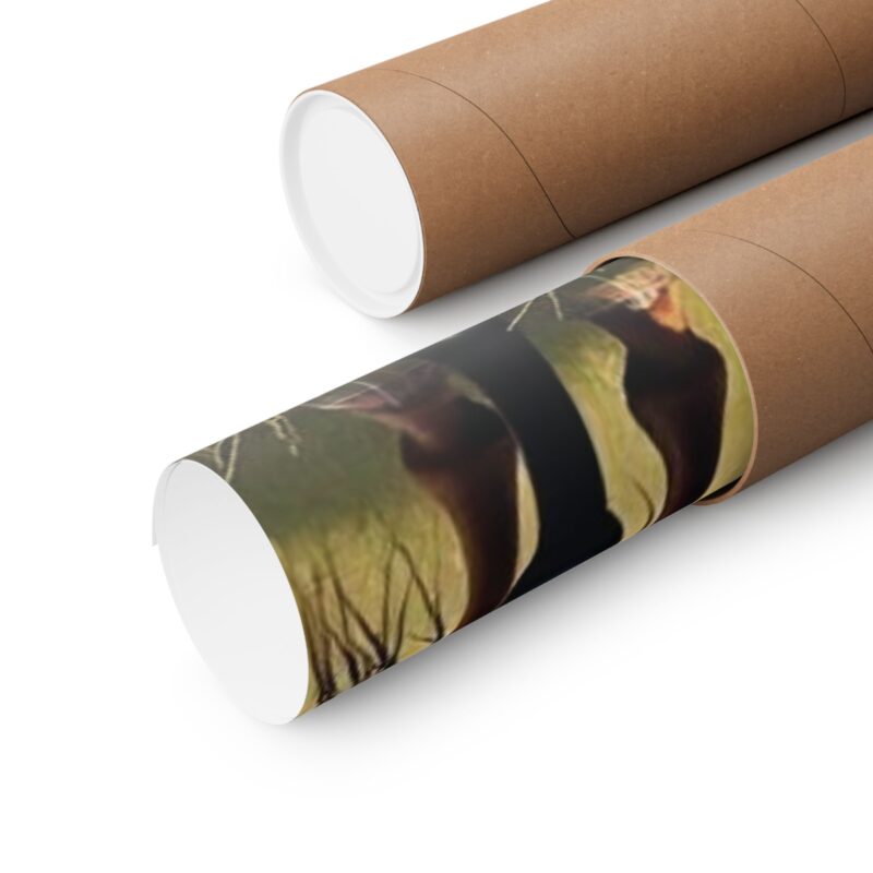Matte Vertical Posters of Three Horses in a Grassy Field: Brown, Gray, and Chestnut - Image 84